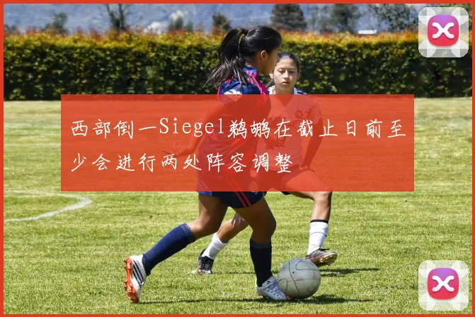 西部倒一Siegel鹈鹕在截止日前至少会进行两处阵容调整