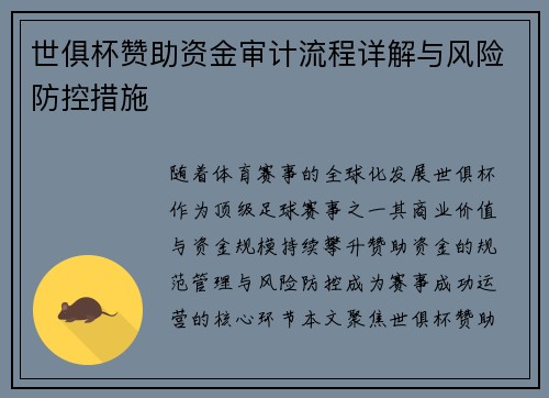 世俱杯赞助资金审计流程详解与风险防控措施