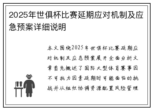 2025年世俱杯比赛延期应对机制及应急预案详细说明